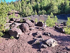 IMG_20220529_083826.jpg
