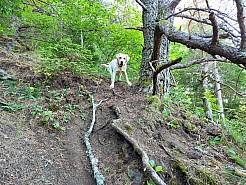 IMG_20220529_084514.jpg