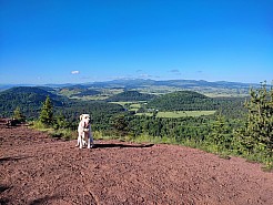 IMG_20220529_085816.jpg
