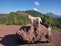 IMG_20220529_091401.jpg