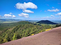 IMG_20220529_094417.jpg