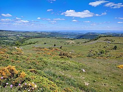 IMG_20220529_150109.jpg