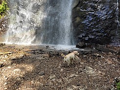 IMG_20220529_160049.jpg