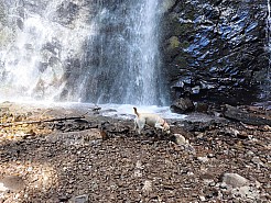 IMG_20220529_160106.jpg