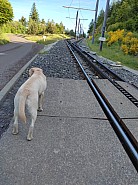 IMG_20220530_085402.jpg