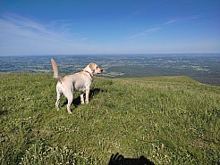 IMG_20220530_094442.jpg
