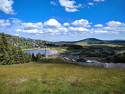 IMG_20220530_165029.jpg