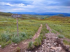 IMG_20220531_093219.jpg