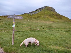 IMG_20220531_094756.jpg